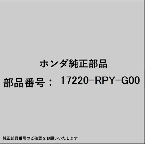 HONDA｜ホンダ ホンダ・honda純正部品 17220-RPY-G00 エレメント