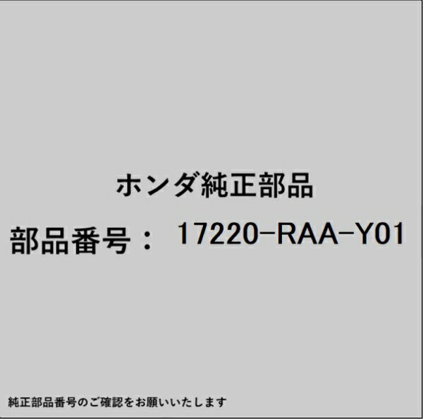 HONDA｜ホンダ ホンダ・honda純正部品 17220-RAA-Y01 エアーエレメント
