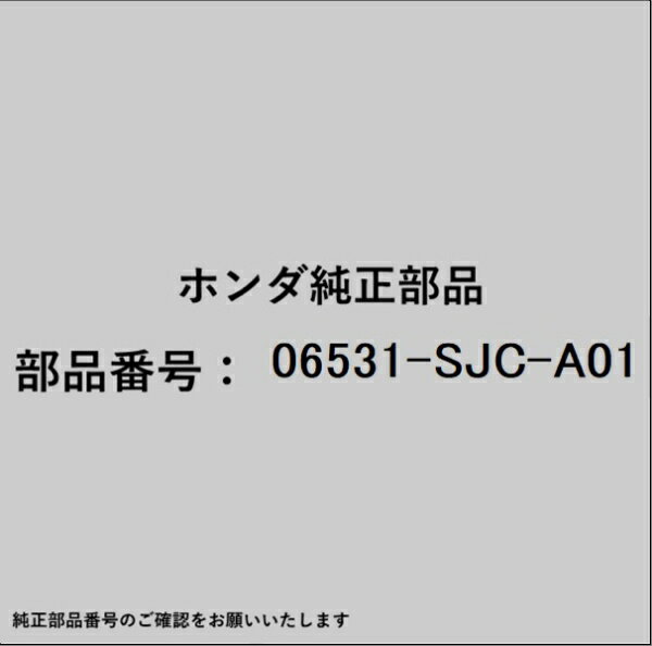 HONDA｜ホンダ ホンダ・honda純正部品 06531-SJC-A01 シールキット