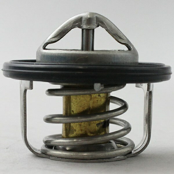 �ߥ䥳��ư�ֹ��ȡ�Miyaco �����⥹���åȡ��ѥå����� TS-113P