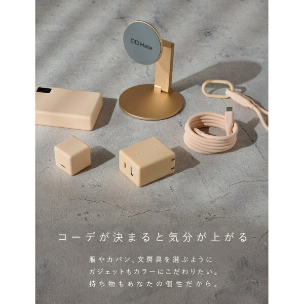 CIO�å����������� CIO Mate Charger 004 ������ԥ� MATE-CH004-SPK