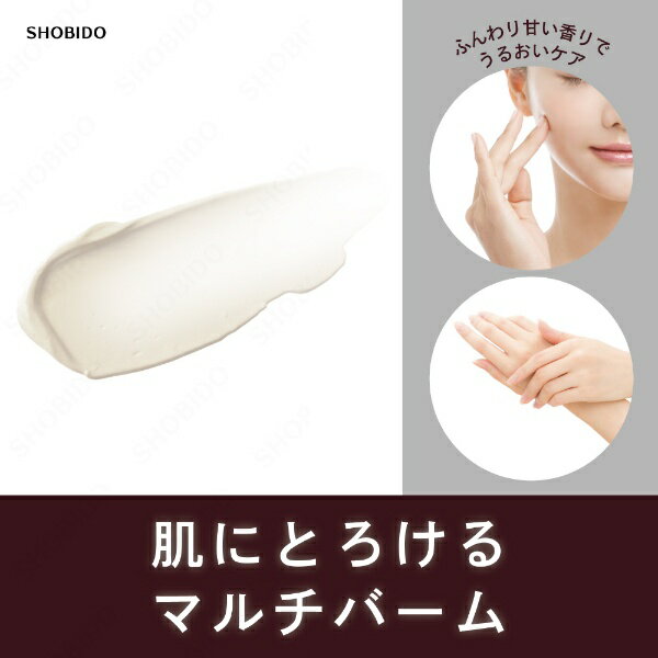 ����Ʋ��SHOBIDO HS�ޥ���С��ࡡ�ۥ磻�ȥ�����