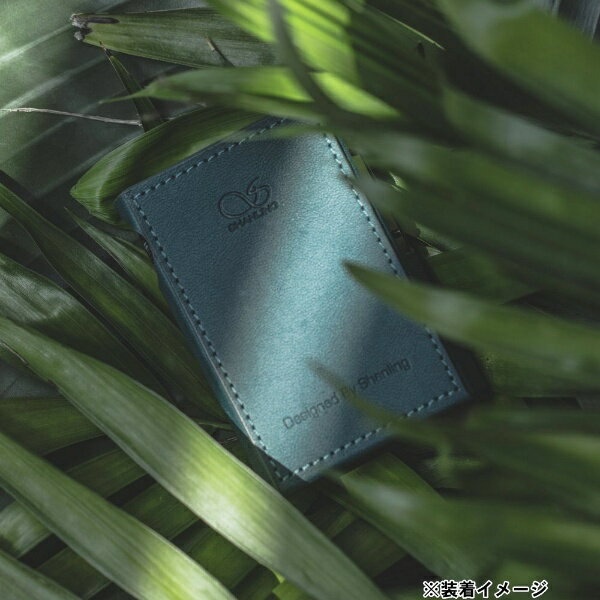 SHANLING�å������ M1Plus ���ѥ����� M1P-Case-GR