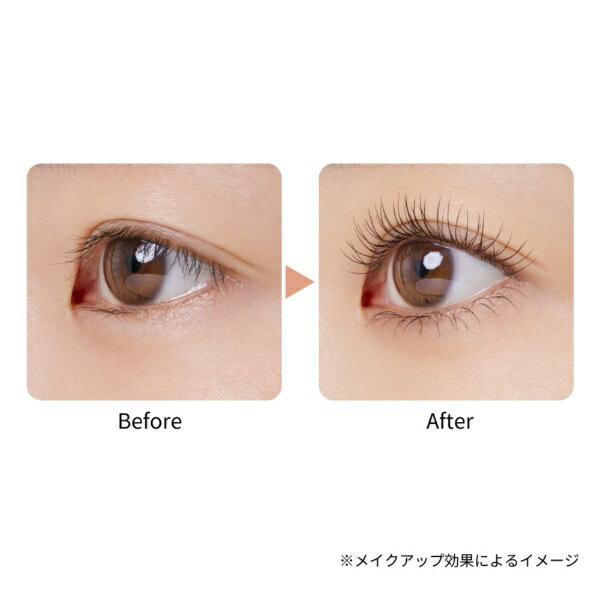 ���ƥ奻��ettusais �ޥ�����١�����å�