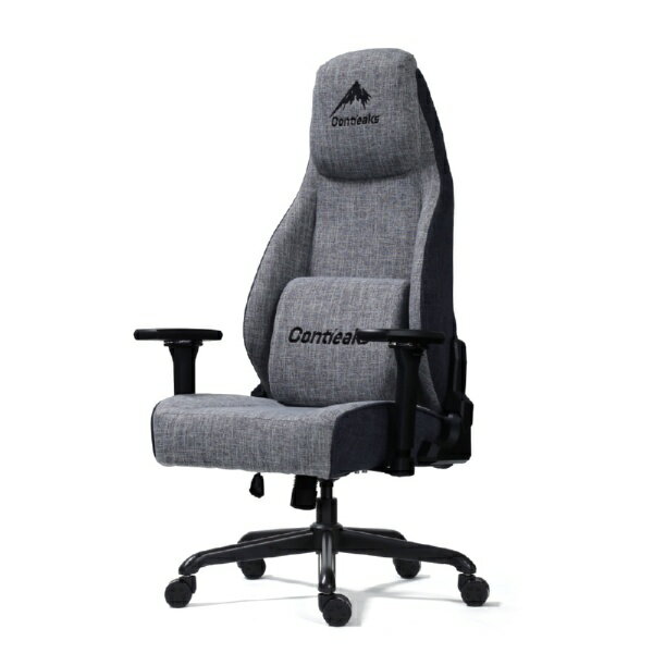 Contieaks �v���� EVO 426046 [�O���[]