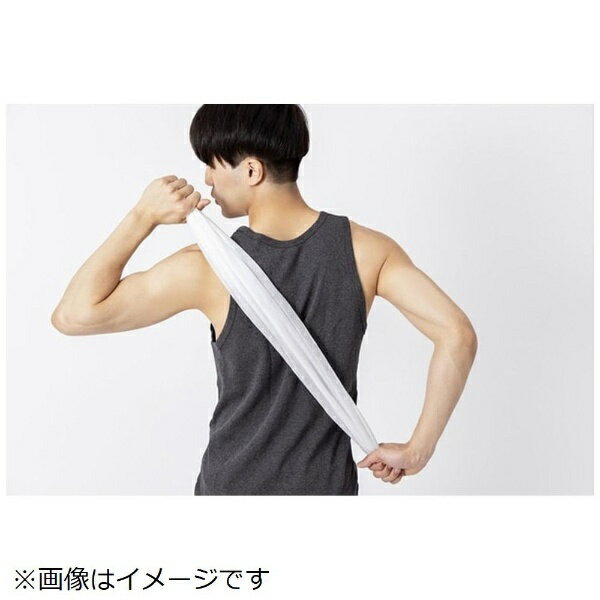 IRIS OHYAMA�å����ꥹ������� ���ǥ������륿���� SCLT20