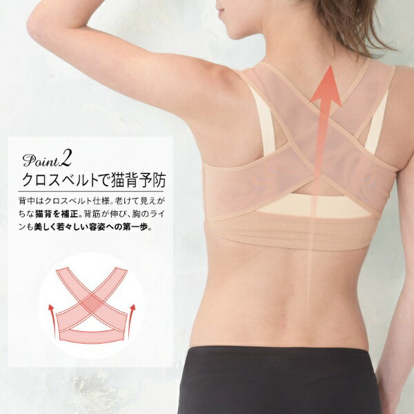 ��Ͼ�����TAIGASHOJI Bepit005 / �Х��ȥ��å��ضڥ��ݡ��ȥ���ʡ� BE-M-L Bepit005