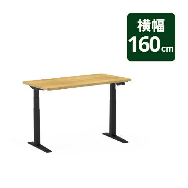 FlexiSpot｜フレキシ スポット 電動昇降式デスク [W1600xD700xH25＋635～1285mm] E7H(天板：メープル 長方形 160x70) USB-Aコンセント付 ブラック E7HBJA+PR1607MAPLE 【メーカー直送・代金引換不可・時間指定・返品不可】