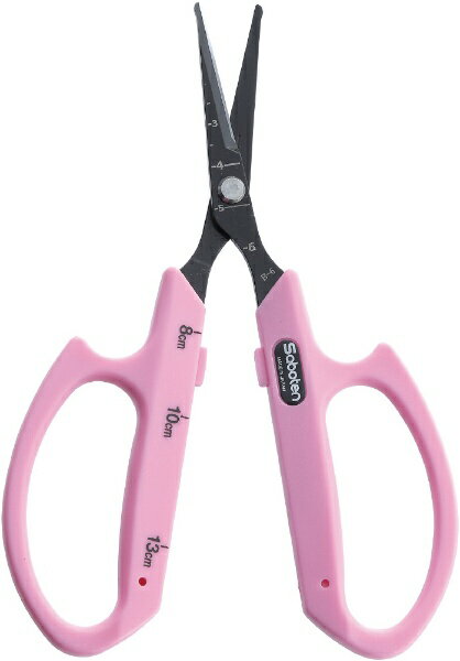 �T�{�e���bSaboten �T�{�e�� #B-6M��ۂԂǂ������n�s���N �t�b�f