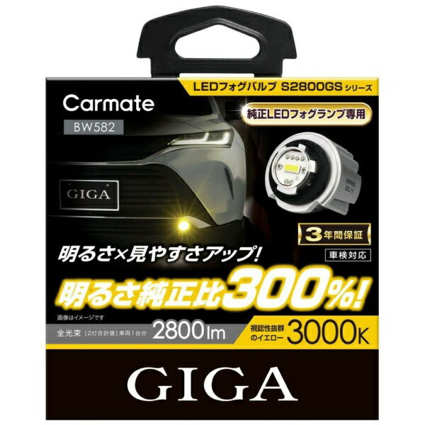 カーメイト｜CAR MATE BW582 LEDフォグ S2800GS BW582