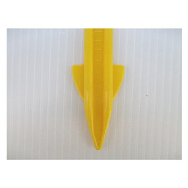 ����ѥ��COMPAL �ɥ�ͤ�����Υץ졼�� �� 205320