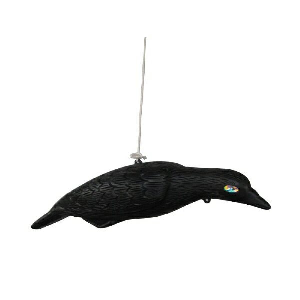 コンパル｜COMPAL コンパル 大型カラス 49cm