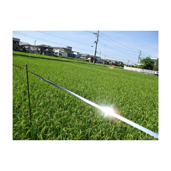 コンパル｜COMPAL コンパル OH赤銀テープ 5P 11mm x90M
