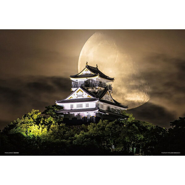 『月夜の岐阜城』の絵柄