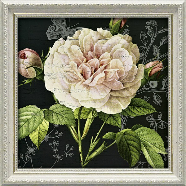 ユーパワー｜YOU POWER デボン ロス「レストレーション ローズ1」