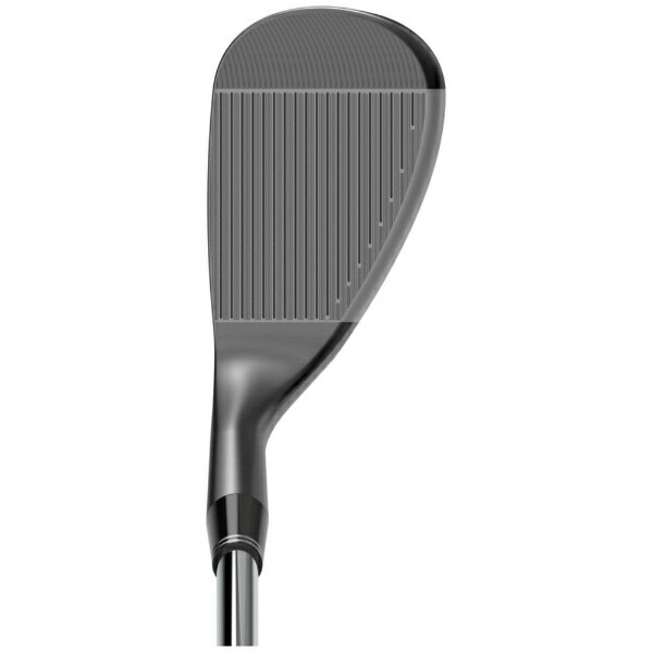 クリーブランド｜Cleveland GOLF ウェッジ RTZ ブラックサテン [56° /10° /Mid /N.S.PRO 950GH neo スチールシャフト /S /右利き用] 2