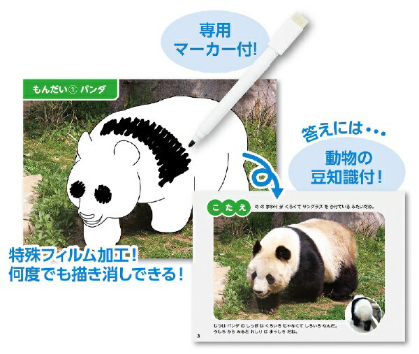 アーテック｜Artec かけるかな?どうぶつもようずかん 2