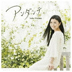 ポニーキャニオン｜PONY CANYON 新妻聖子/アンダンテ 【CD】 【代金引換配送不可】