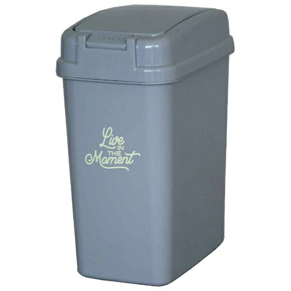 平和工業 ゴミ箱 12L プッシュペール アースカラー クールグレー(3.0)