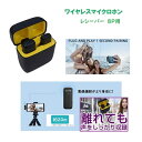 Royal Monster|ロイヤルモンスター パーソナルワイヤレスマイクロホン Lightning RM-9107MICP