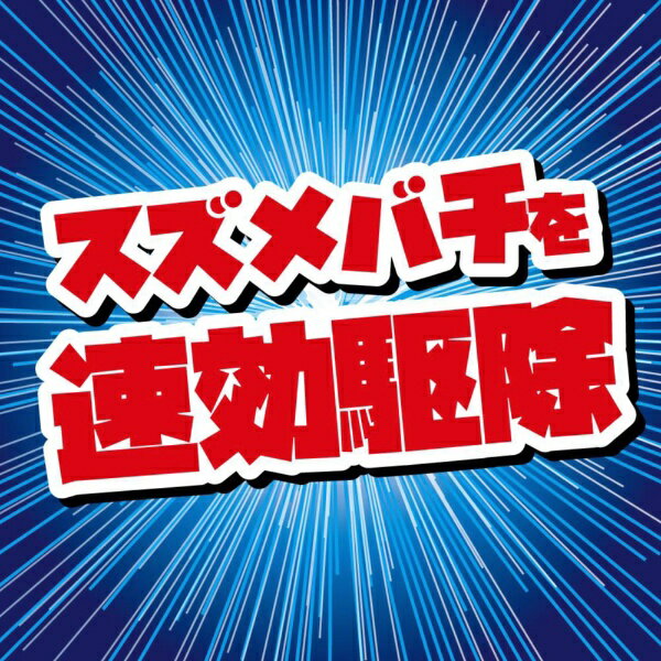 ������Х�������硼�른���åȡ�510mLKINCHO�������ܽ����