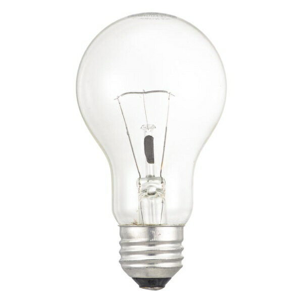 Filament Lamps - オーム電機｜OHM ELECTRIC 長寿命白熱電球 E26 100W形 クリア 2個セット LB-DL6695C-2PN [E26 /一般電球形 /100W相当 /電球色 /2個]