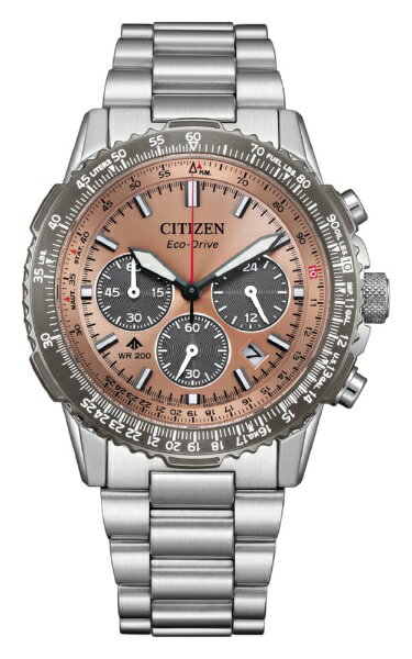 【エントリーで最大2万ポイント当たる｜4/23まで】 CITIZEN｜シチズン PROMASTER（プロマスター） 光発電エコ・ドライブ[ソーラー時計] SKYシリーズ CA4664-60X