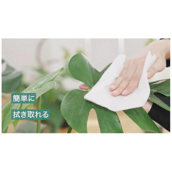 KINCHO園芸｜KINCHO garden products MYPLANTS葉をきれいにするシート 10枚