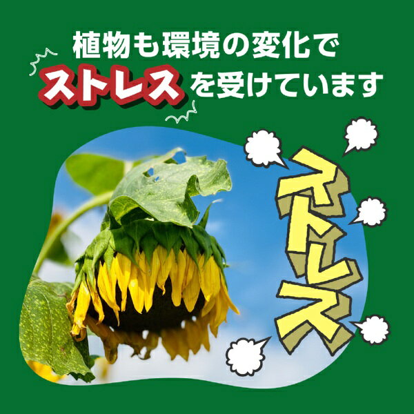 KINCHO園芸｜KINCHO garden products X-ENERGY（エックスエナジー） 600ml
