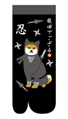 �ե�󥺥ҥ��Friendshill ­�ޥ��å���S�����Х��ǥ����� �֥�å� 895294