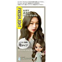 シュワルツコフヘンケル|Henkel Japan フレッシュライト 泡タイプカラー エアリーアッシュ30g+60mL