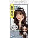 シュワルツコフヘンケル|Henkel Japan フレッシュライト 泡タイプカラー シュガーアッシュ30g+60mL