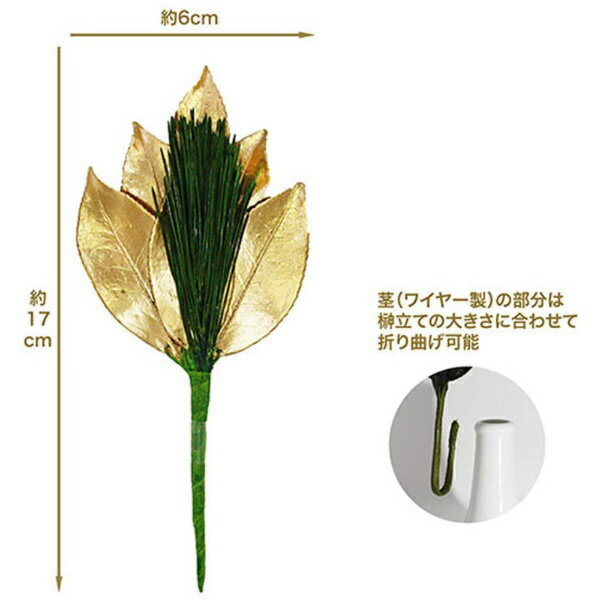 A&K 金の荒神松 3