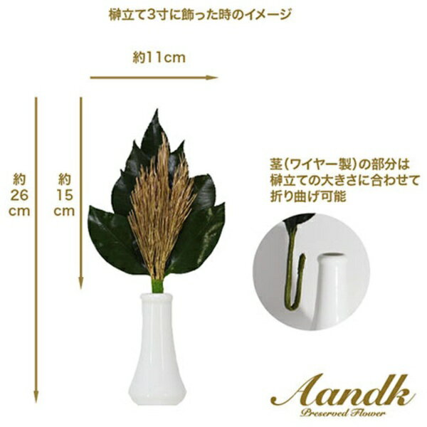 A&K 金の荒神松S(金の松) 3