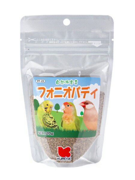 ybgt[h Rh錾 tHjIpfB 120g