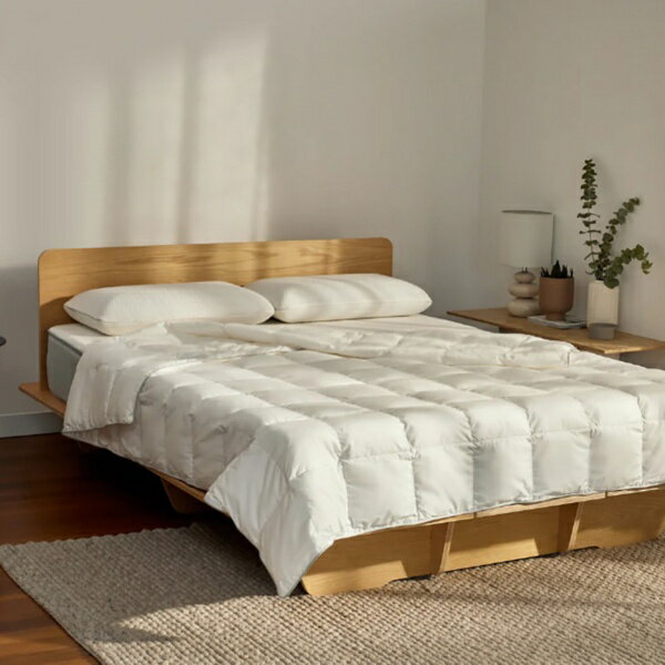 �R�A���}�b�g���X�bKoala Sleep Japan �E���g�����C�g�|���z�c [�Z�~� �u��(170�~210cm)]