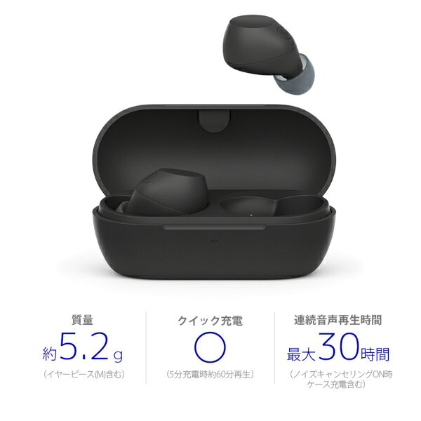 【エントリー最大3倍｜対象ユーザー限定 3/1まで】 SONY｜ソニー 完全ワイヤレスイヤホン ブラック WF-C710N BZ [ワイヤレス(左右分離) /カナル型 /ノイズキャンセリング対応 /Bluetooth対応]
