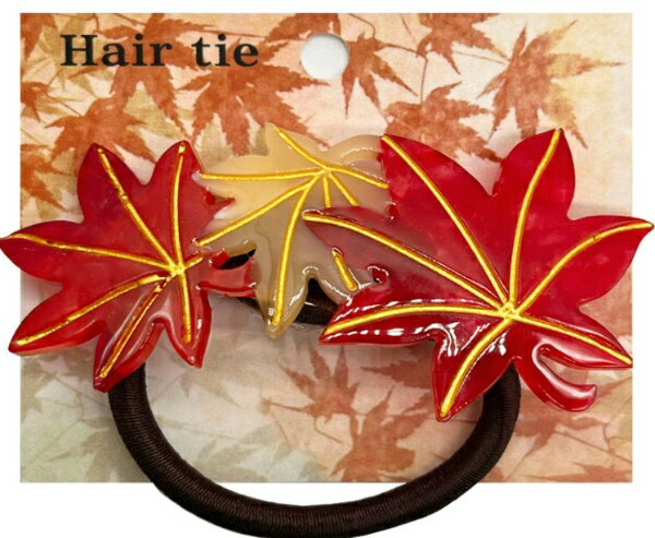 アクセソワール ヘアゴム RD HG8