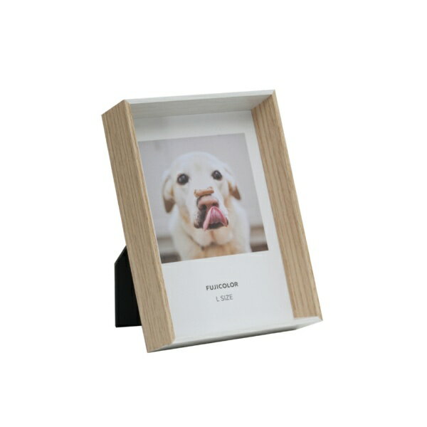 FUJICOLOR�åե����顼 �롼��ե졼�� 4701L (�ۥ磻��/�ʥ�����)