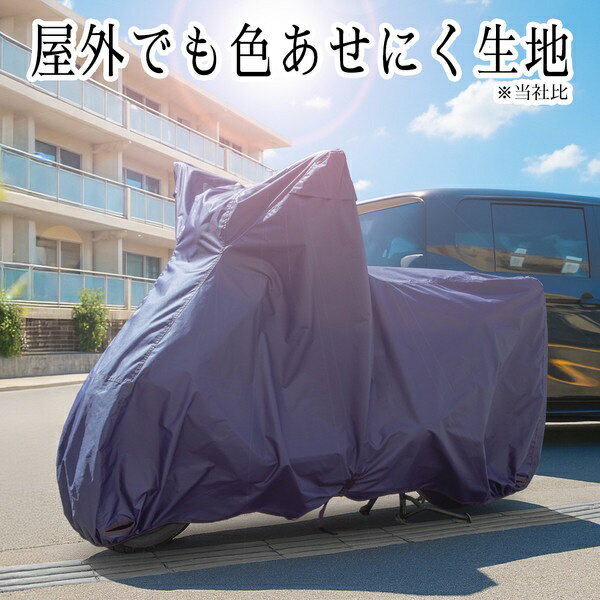 ������ݻ���OSS ���ѥХ������С� INFIMO COLORS ��餷�������५�顼 �������ˤ������� ��������LL ��ԥ��֥롼 IMA92702