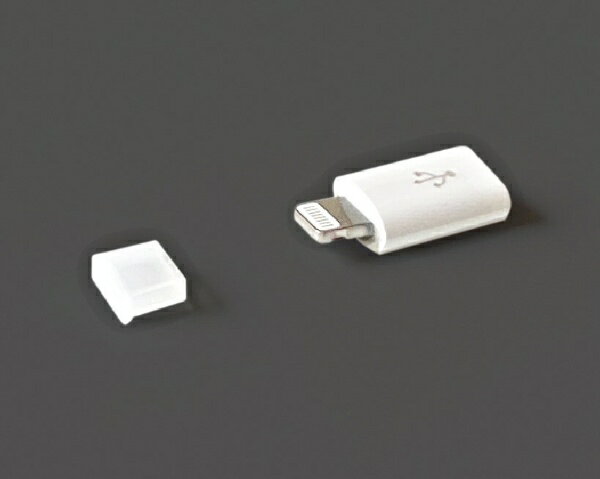 FREEDOM�åե꡼���� Lightning���ͥ���(����)���ɿХ���å�(5������) ���ꥢ PGC-LF160CL