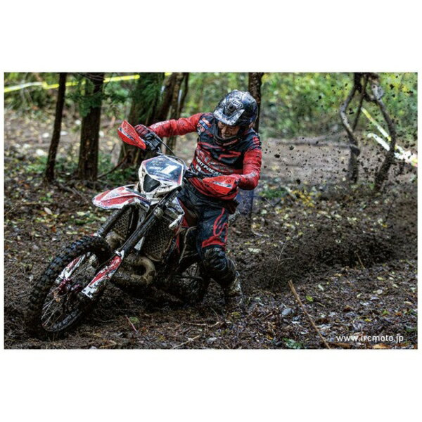 �ڥ���ȥ꡼�Ǻ���2���ݥ�����������1/20�ޤǡ� IRC�ð�奴�๩�� IX09W/D��90/100-16 308558