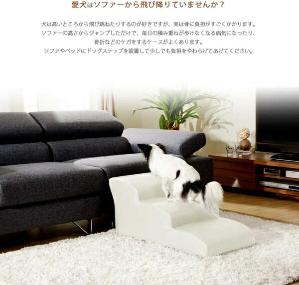 セルタン｜Cellutane 3段ドッグステップ チワワ向き PVCレッド
