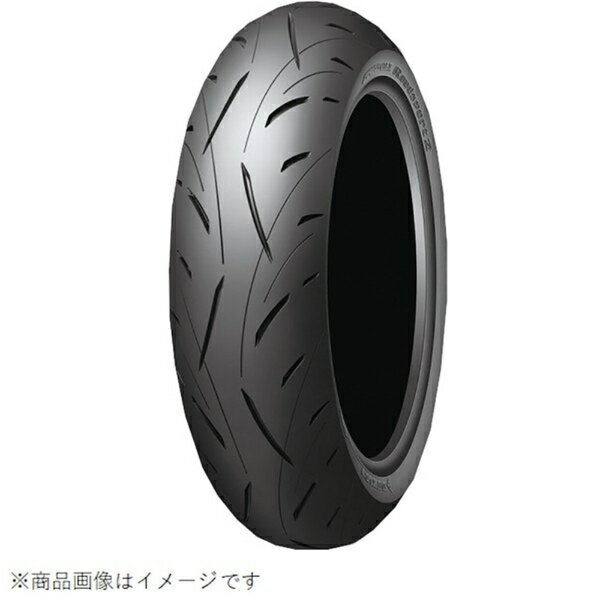 ダンロップ｜DUNLOP RDSPT2　190/50ZR17（73W） 二輪用タイヤ 334041