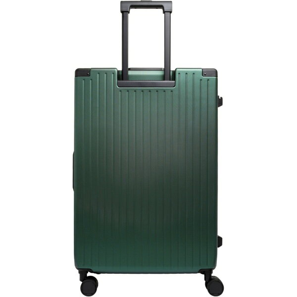�ڥ���ȥ꡼����3�ܡ��оݥ桼�������� 3/1�ޤǡ� SKY NAVIGATOR�å������ʥӥ������� �����ĥ����� �ե졼�ॿ���� ι�������ܰ¡�1���ְʾ� 87L TSA���å���� �¤�����̵�� ���꡼�� SK-0895-67-GR [TSA���å����]