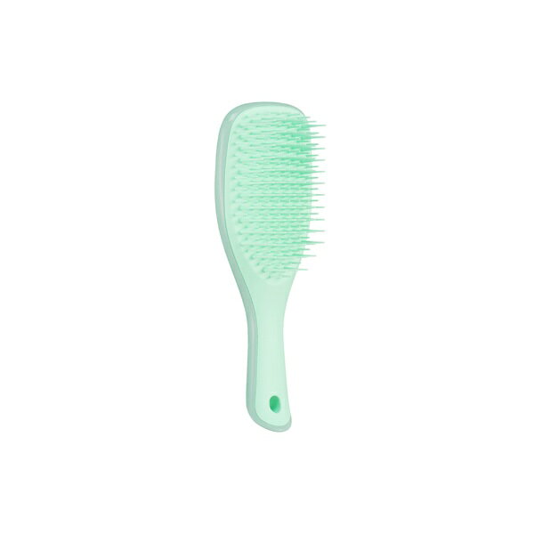 TANGLE TEEZER｜タングルティーザー タングルティーザー　ザ・アルティメットディタングラー　ミニ　ソフト＆ダメージ パステルミント
