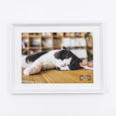 ナカバヤシ|Nakabayashi 木製写真額 ホワイト
