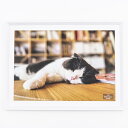 ナカバヤシ|Nakabayashi 木製写真額 ホワイト
