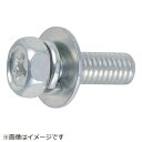 トラスコ中山|TRUSCO NAKAYAMA 組込ボルト アブセットP−3 三価白 サイズM5X15 30本入 B7680515