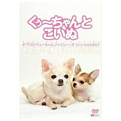 シンフォレスト｜Synforest くぅ~ちゃんとこいぬ チワワの DVDV